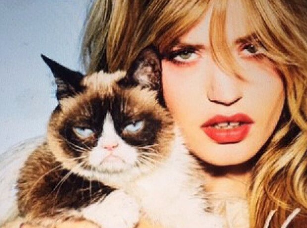 Titel-Bild zur News: Grumpy Cat mit Georgia May Jagger beim Fotoshooting für den Opel Kalender 2017