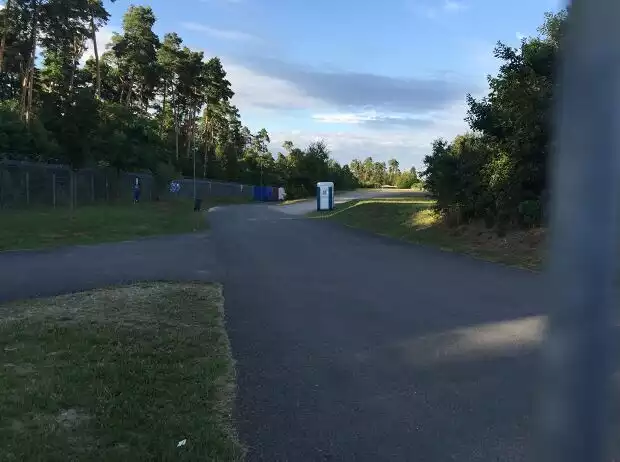 Waldstück in Hockenheim Titel-Bild zur News: Waldstück in Hockenheim