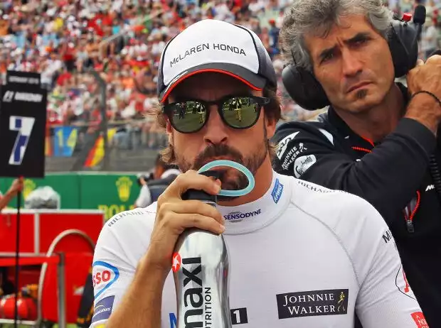 Fernando Alonso Titel-Bild zur News: Fernando Alonso