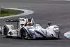 Bild zum Inhalt: WEC Mexiko 2016: Greaves bringt Auto mit Lokalmatadoren