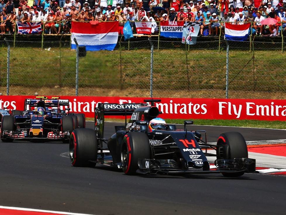 Daniil Kwjat, Fernando Alonso