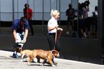 Hunde Roscoe & Coco von Lewis Hamilton (Mercedes) 