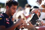 Daniel Ricciardo (Red Bull) 