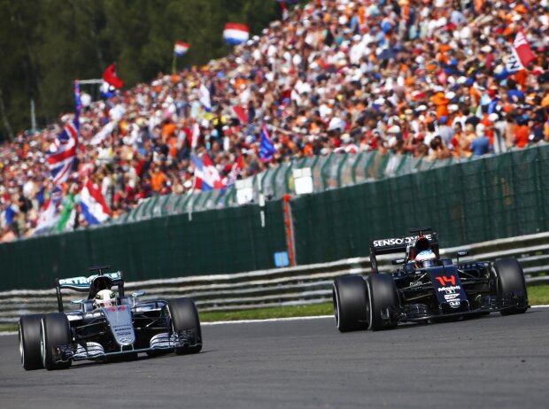 Fernando Alonso, Lewis Hamilton Fernando Alonso, Lewis Hamilton