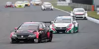 Norbert Michelisz auf der Rennstrecke