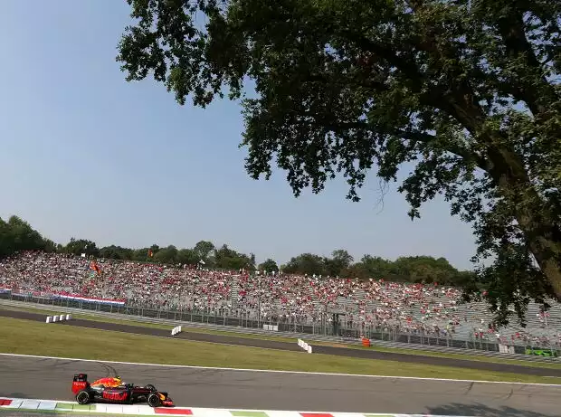 Max Verstappen Titel-Bild zur News: Max Verstappen