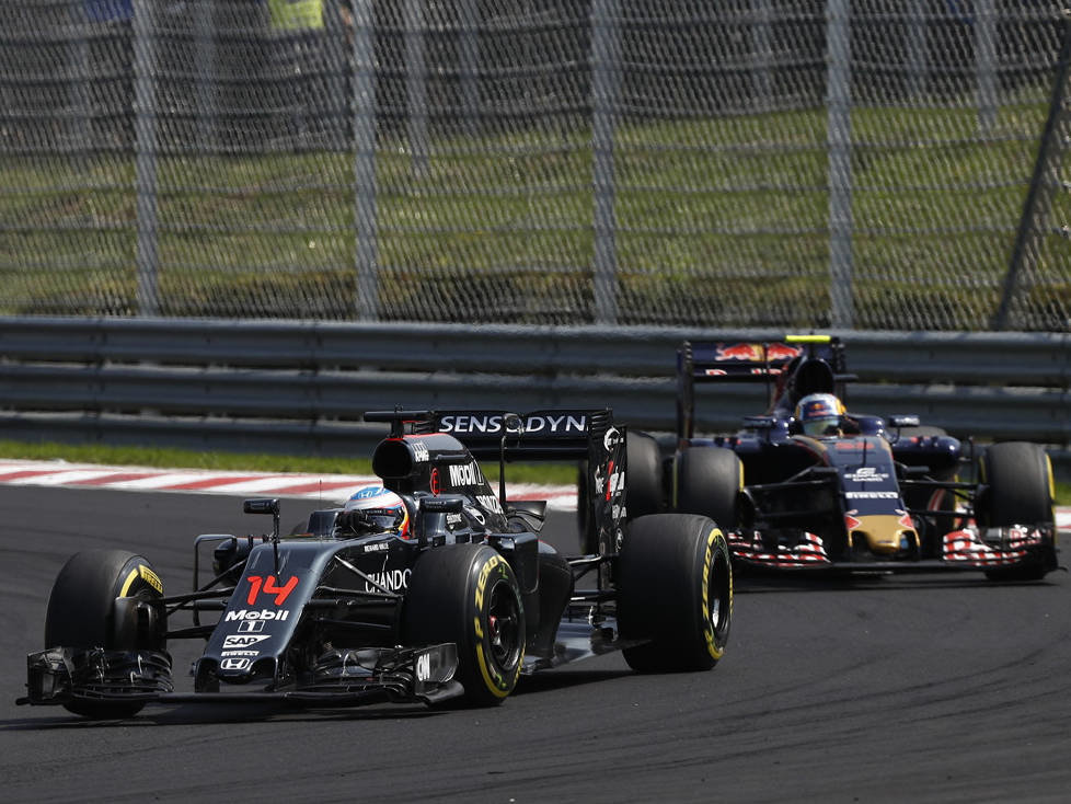 Fernando Alonso, Carlos Sainz