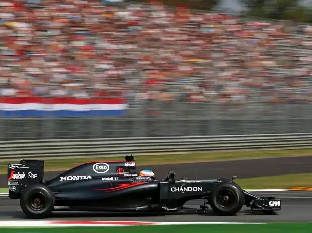 Fernando Alonso Titel-Bild zur News: Fernando Alonso