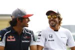 Carlos Sainz (Toro Rosso) und Fernando Alonso (McLaren) 