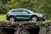 Bild zum Inhalt: Skoda Kodiaq: Bärig