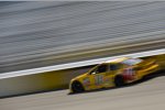 Kyle Busch (Gibbs) 