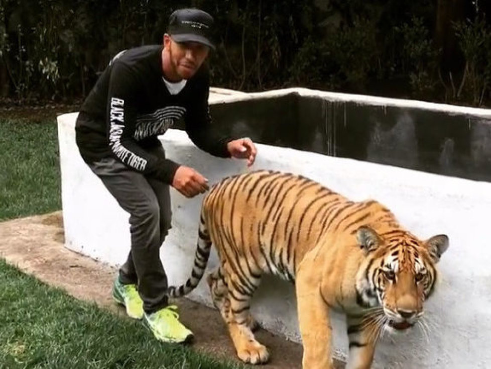 Lewis Hamilton. Tiger Nicole