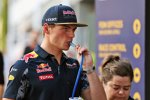 Max Verstappen (Red Bull) 