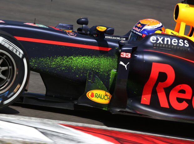 Max Verstappen Max Verstappen