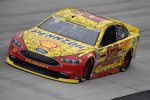 Joey Logano (Penske) 