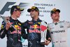 Formel 1 Malaysia 2016: Drama um Hamilton, Red Bull gewinnt