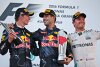 Bild zum Inhalt: Formel 1 Malaysia 2016: Drama um Hamilton, Red Bull gewinnt