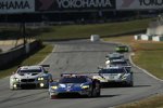 Ryan Briscoe, Richard Westbrook, Scott Dixon und Paolo Ruberti