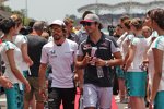 Fernando Alonso (McLaren) und Carlos Sainz (Toro Rosso) 