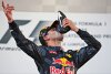 Striptease in der Boxengasse: Neun Ricciardo-Fans verhaftet