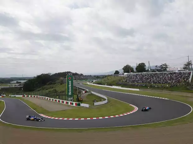 Marcus Ericsson, Pascal Wehrlein Titel-Bild zur News: Marcus Ericsson, Pascal Wehrlein