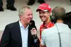 Bild zum Inhalt: Martin Brundle: Vettel wird nicht mehr lange Formel 1 fahren