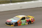 Kyle Busch (Gibbs) 