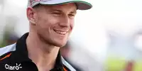 Bild zum Inhalt: Surer: "Nico Hülkenberg hat ein goldenes Händchen bewiesen"