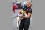 Hund von Lewis Hamilton (Mercedes) 