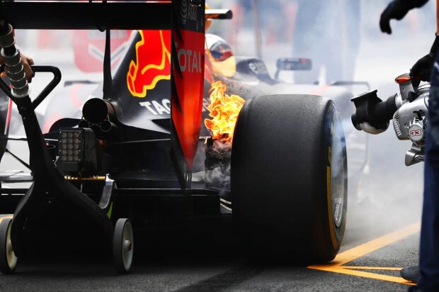 Max Verstappen Red Bull Red Bull Racing F1 ~Max Verstappen (Red Bull) ~ Max Verstappen Red Bull Red Bull Racing F1 ~Max Verstappen (Red Bull) ~