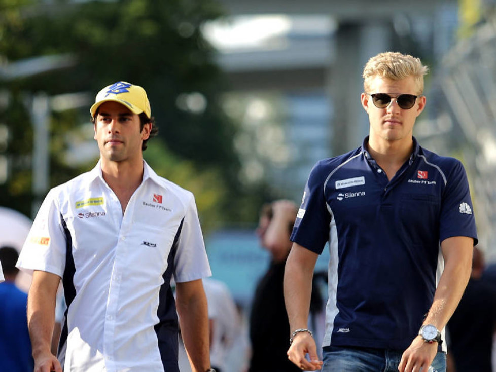 Felipe Nasr, Marcus Ericsson