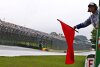 Zweiter Rennabbruch in Brasilien: Martin Brundle verteidigt FIA