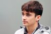 Freitagstester Leclerc muss Haas für Abu Dhabi absagen