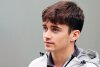 Bild zum Inhalt: Freitagstester Leclerc muss Haas für Abu Dhabi absagen