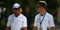 Bild zum Inhalt: Vandoorne gespannt auf Teamduell: Alonso "liefert immer ab"