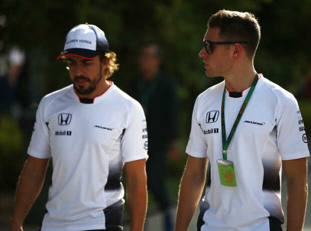 Titel-Bild zur News: Fernando Alonso, Stoffel Vandoorne