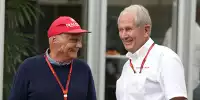 Bild zum Inhalt: Marko stichelt: "Mercedes traut seinem Juniorprogramm nicht"