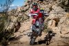 Bild zum Inhalt: Rallye Dakar 2017: Die Herausforderer von KTM