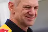 Bild zum Inhalt: Adrian Newey: Neuer Renault-Motor macht Hoffnung für 2017