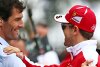 Bild zum Inhalt: Mark Webber stolz: "Habe Vettel und Co. Saures gegeben"