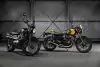 Bild zum Inhalt: Triumph Bonneville Street wird zum Dreigestirn