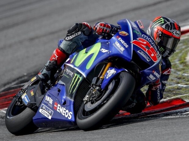 Maverick Vinales Maverick Vinales