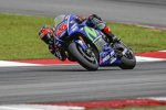 Maverick Vinales (Yamaha)