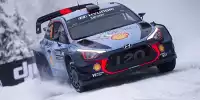 Bild zum Inhalt: Rallye Schweden: Thierry Neuville wirft den nächsten Sieg weg!