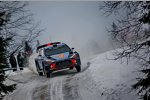 Thierry Neuville (Hyundai)