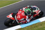 Eugene Laverty
