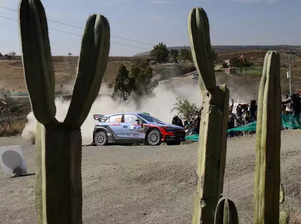 Hayden Paddon, John Kennard Titel-Bild zur News: Hayden Paddon, John Kennard