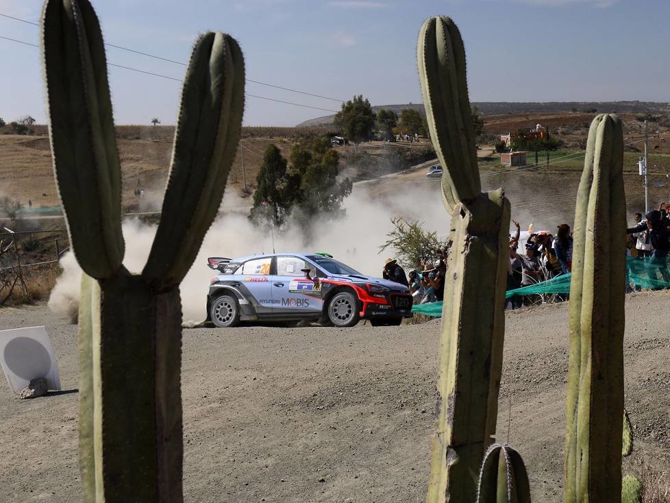 Hayden Paddon, John Kennard