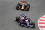 Daniil Kwjat (Toro Rosso) und Max Verstappen (Red Bull) 