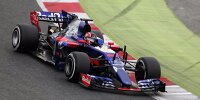Bild zum Inhalt: Toro Rosso sucht Namenssponsor für Renault-Motor